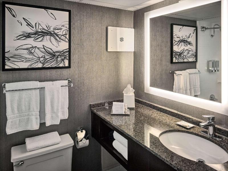 Deluxe King Room image 4