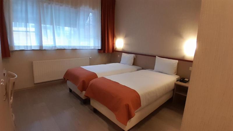 Standard Twin Room image 2