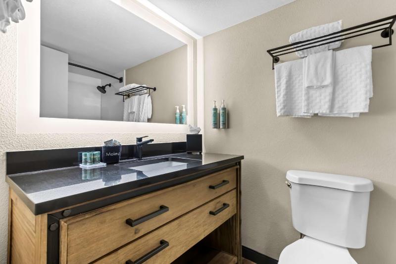 One-Bedroom King Suite with Sofa Bed image 2