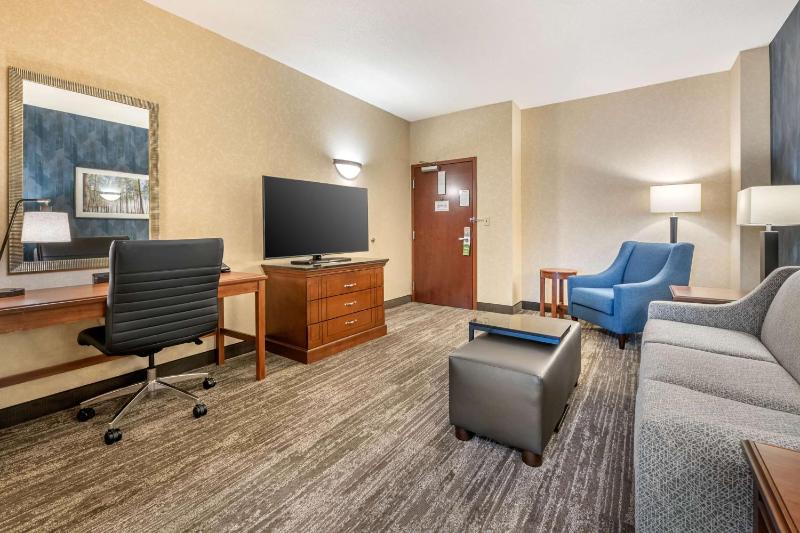 Queen Suite with Sofa Bed image 1