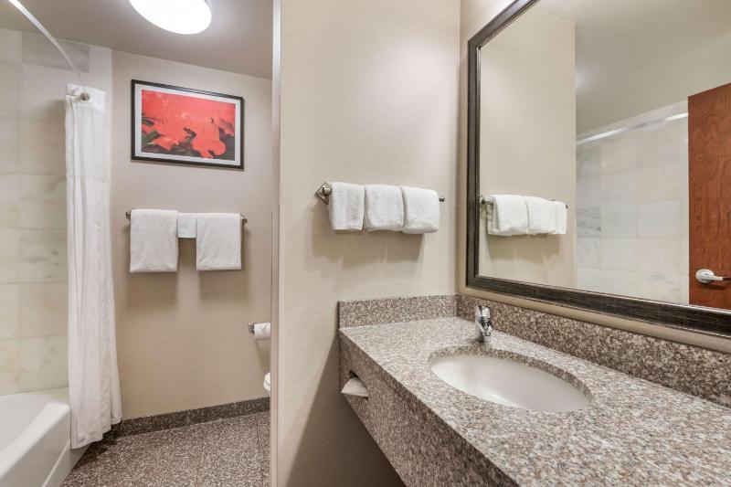 Deluxe King Room image 2