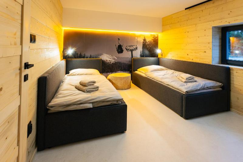 Chalet Vista Biohacking & Jacuzzi Recovery Chalet - image 22