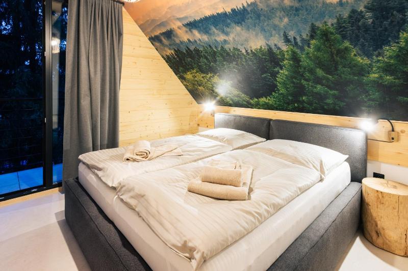 Chalet Vista Biohacking & Jacuzzi Recovery Chalet - image 26