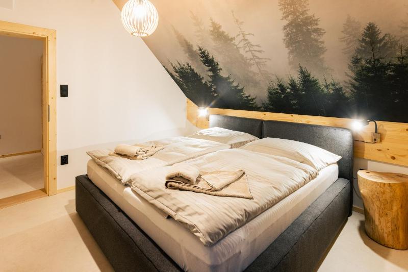 Chalet Vista Biohacking & Jacuzzi Recovery Chalet - image 4
