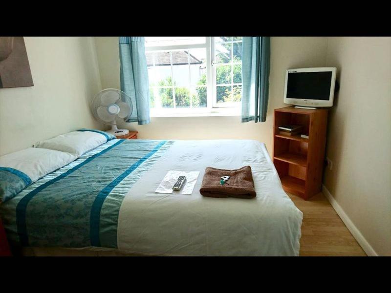 Double or Twin Room image 3