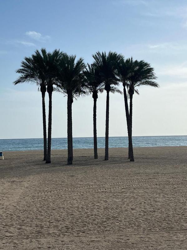 Two Bedroom Apartment on Front Line Of The Beach - image 19