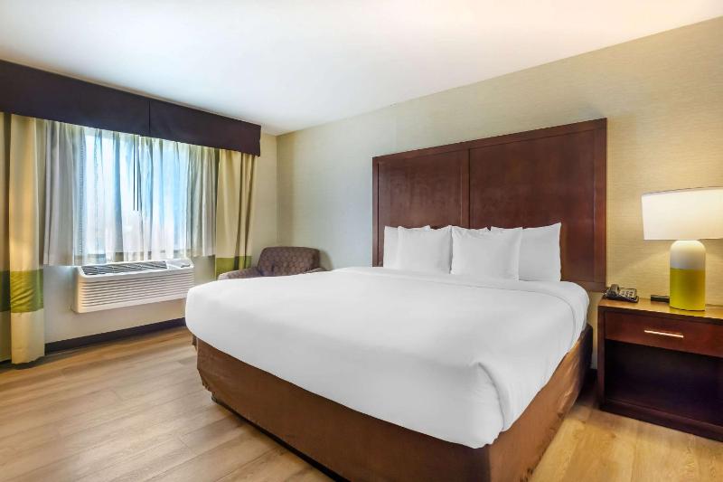 King Suite with Sofa-Bed - Non-Smoking image 4