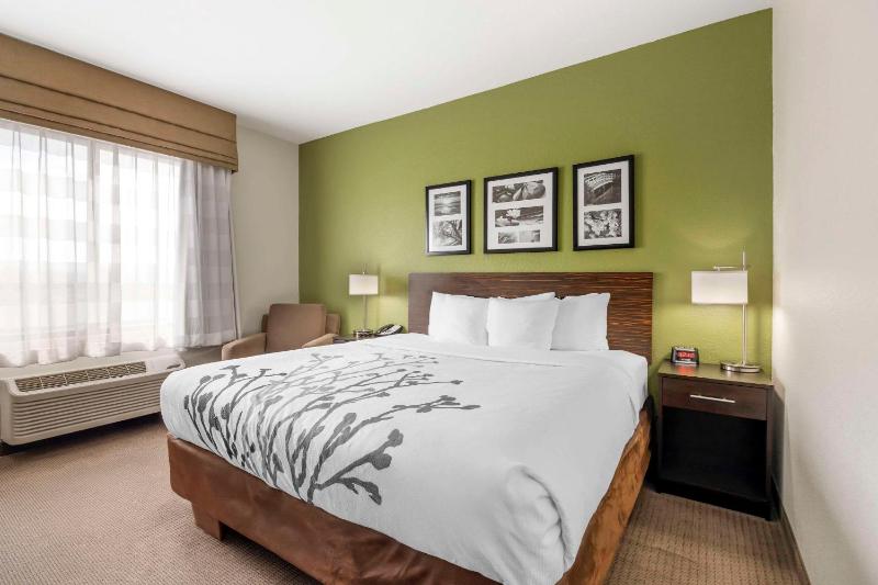 King Room image 1