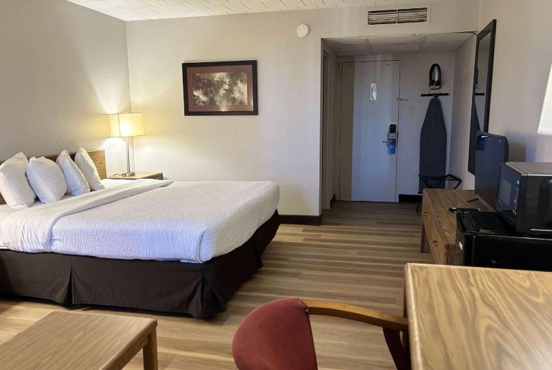 King Room with Mobility Access and Bathtub with Grab Bars, Non-Smoking image 4