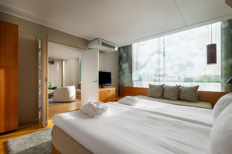 King Suite with One King Bed and Sofa Bed image 4