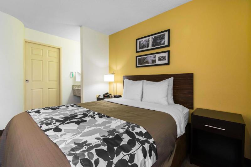 King Room - Non-Smoking image 1