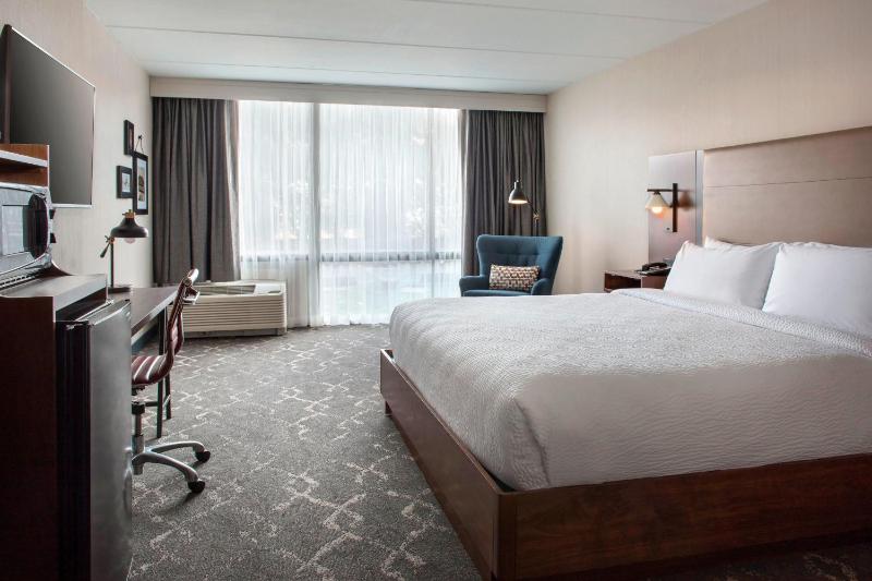 King Room image 1