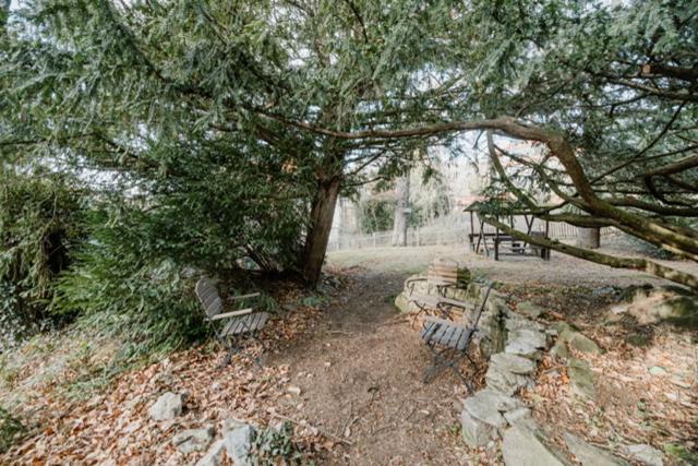 Am großen Bleek Villa Gartenblick - image 28