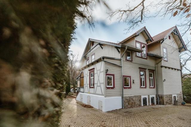 Am großen Bleek Villa Gartenblick - image 26