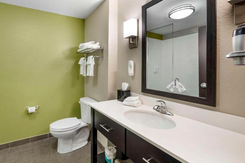 King Suite image 4