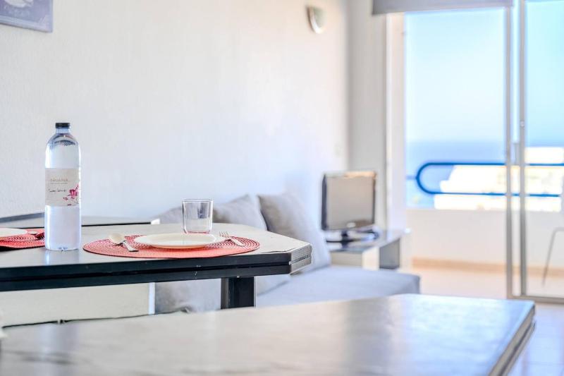418 Panoramic View - studio located in Playa Paraso - image 7