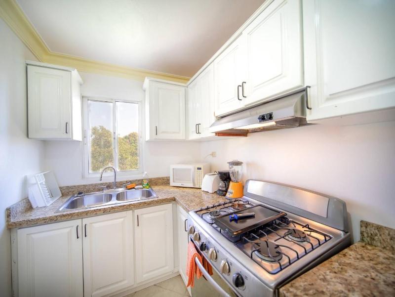 Garden Condos Apt 30 - Lovely 1br Condo W Pool - image 8