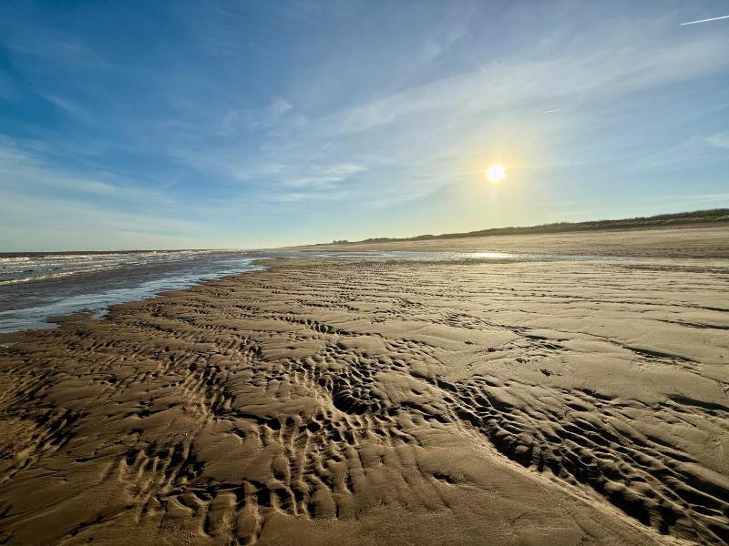 Beach Haven - image 37