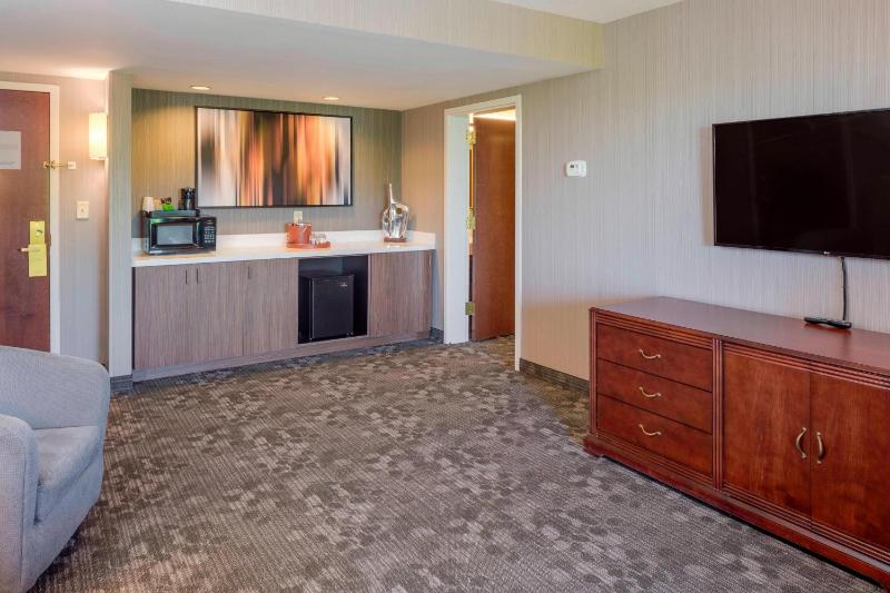1 Bedroom 2 room Suite, 1 King, Sofa bed image 3