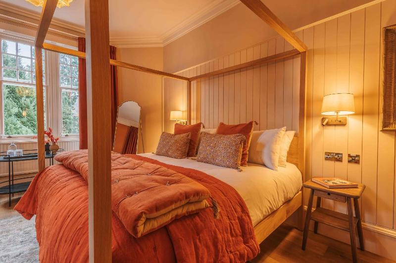 Comfy Luxe Room image 3