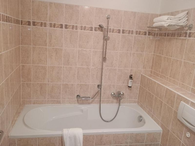 LH Hotel Gold - image 8