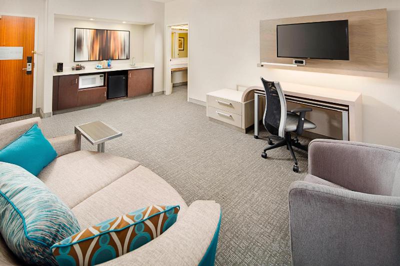 One-Bedroom King Suite with Sofa Bed - Non-Smoking image 4