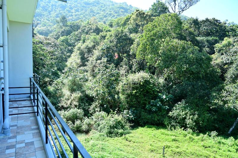 coorg misty mountains guest house - image 2