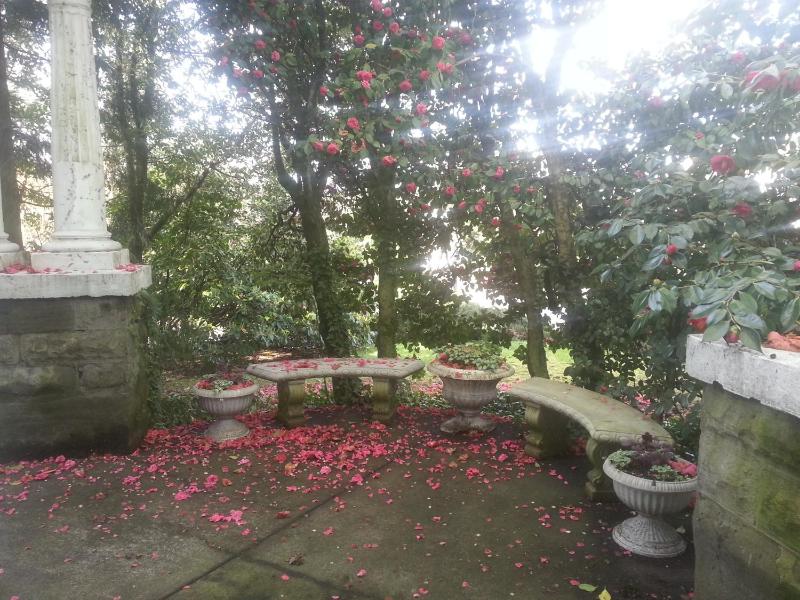 Evermore Guesthouse - image 9