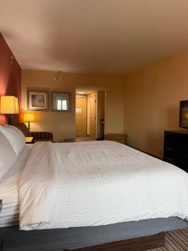 Standard King Room with Sofa Bed image 2