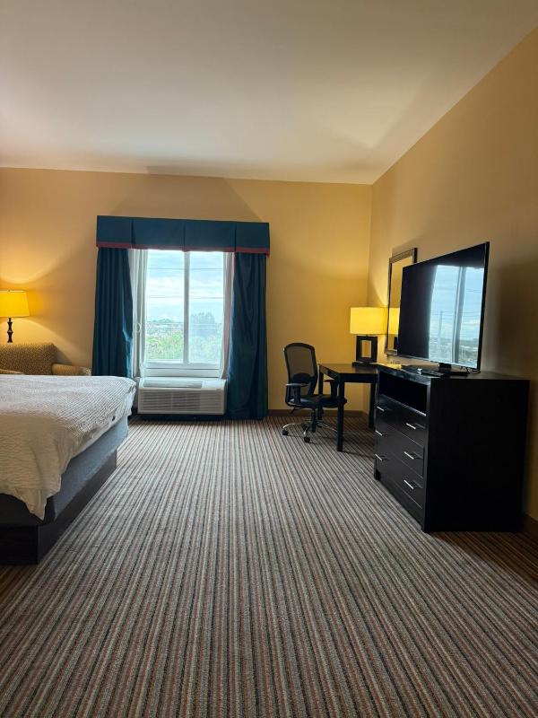 Standard King Room with Mobility Accessible Tub image 3