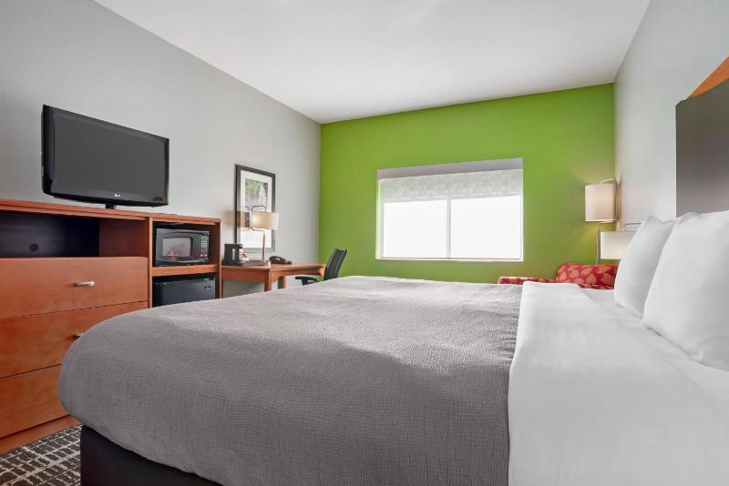 King Room - Accessible/Non-Smoking image 4