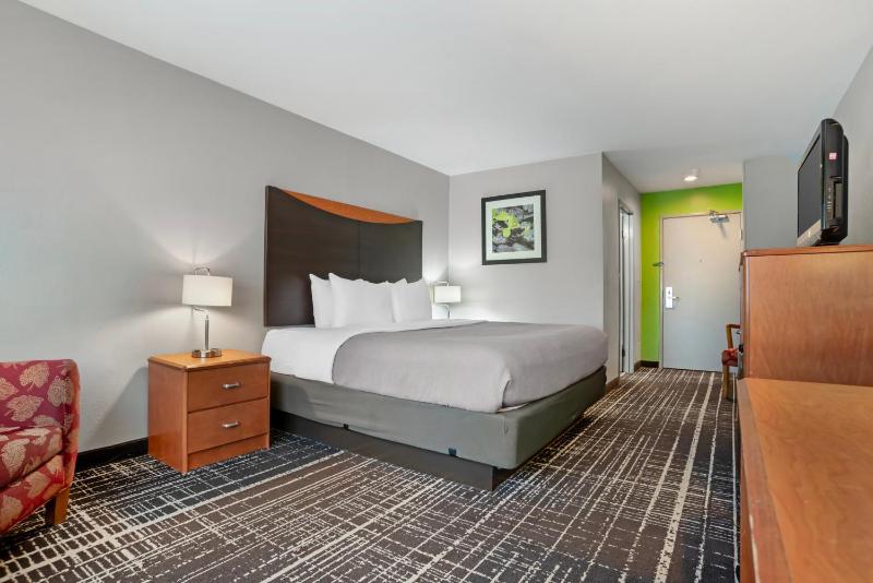 King Room image 4