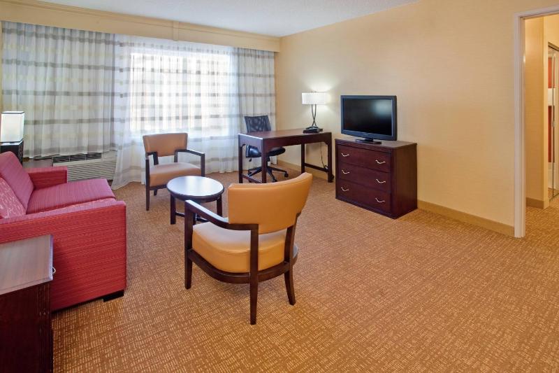 Executive One-Bedroom King Suite with Sofa Bed image 3