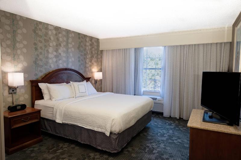 Suite, 1 King, Sofa bed image 3