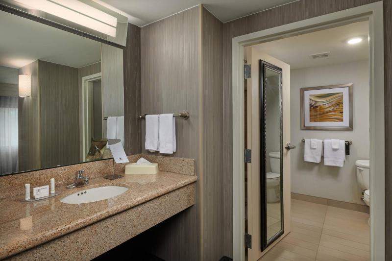 One-Bedroom King Suite with Sofa Bed and Balcony image 2