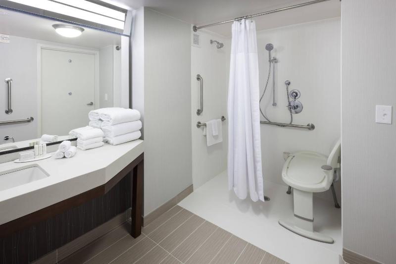 King Room with Transfer Shower - Mobility and Hearing Accessible image 2