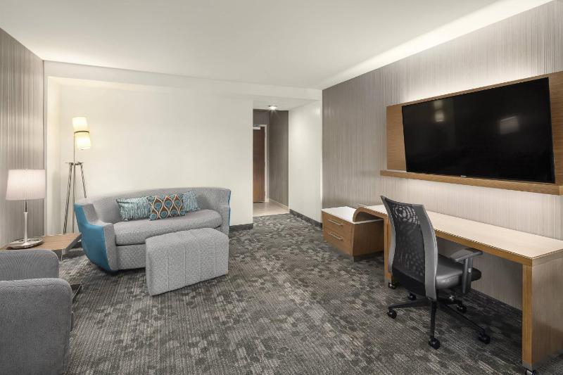 Studio Suite with King Bed and Sofa Bed - Non-Smoking image 3