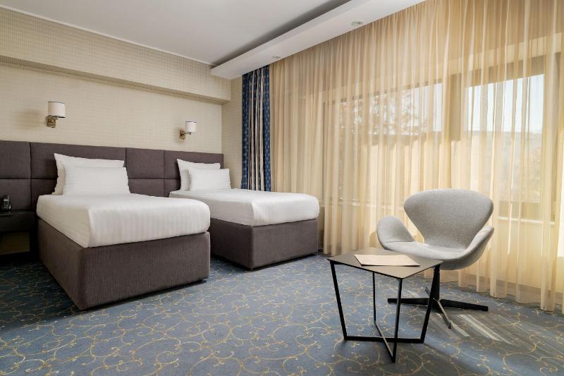 Executive Twin Room image 1