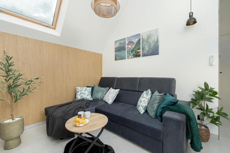 Prestiżowe Góralskie Apartamenty w Sercu Zakopanego & Parking by Noclegi Renters - image 49