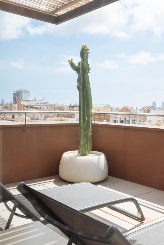 Privilege Double Room with Terrace image 1