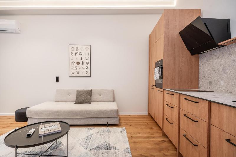 Newly Furnished Vilnius Town Hall Apartments by Reside Baltic - image 14