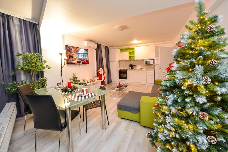 Apartment with Terrace image 3