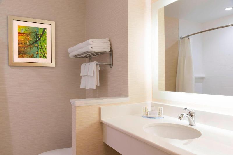 King Room with Roll-in Shower - Mobility Accessible image 3