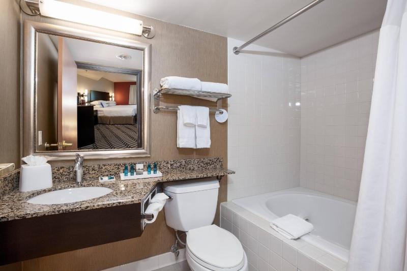 Demi King Suite with Sofa Bed image 4