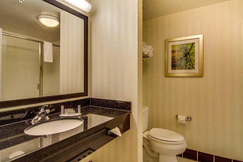 Executive One-Bedroom Suite image 2