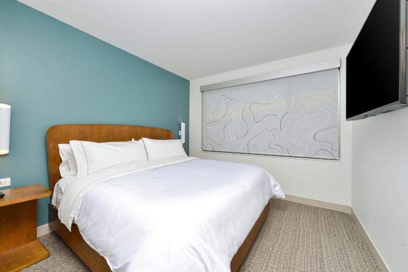 One-Bedroom King Suite with Sofa Bed  image 3