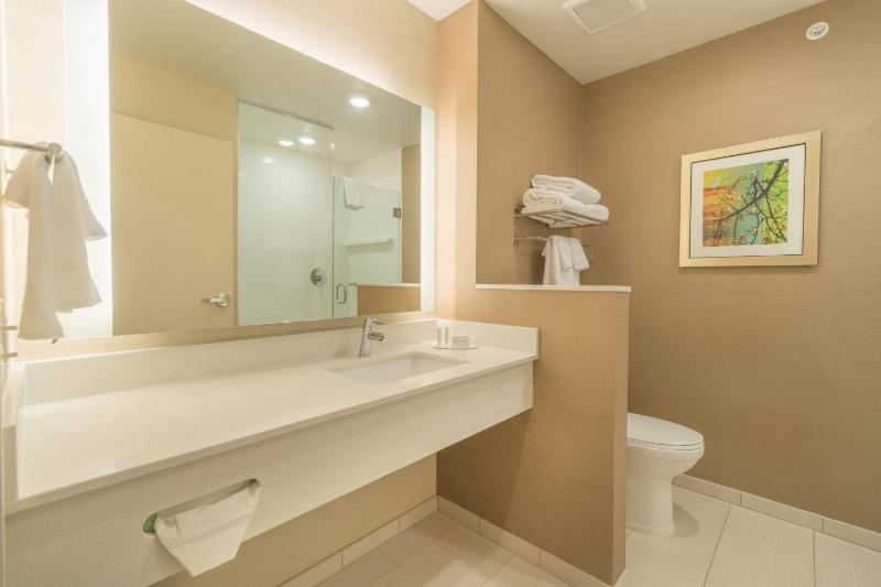 King Room with Roll-In Shower - Mobility and Hearing Accessible image 4