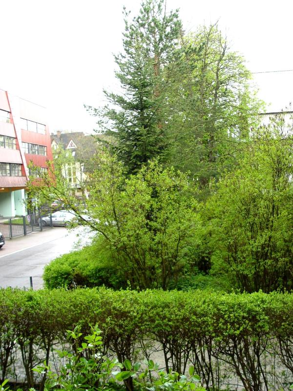 Apartament Tatrzański Dąb - image 6