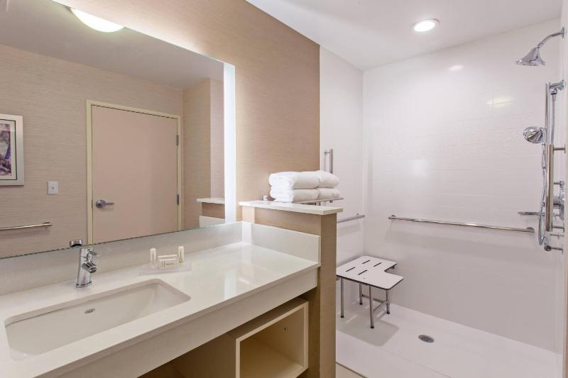 King Room with Roll-In Shower - Mobility and Hearing Accessible image 2