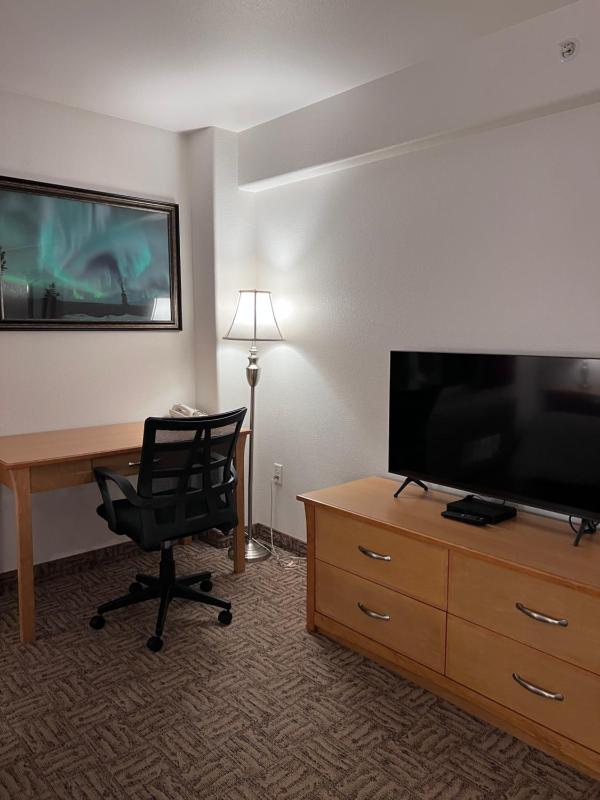 One-Bedroom Suite image 4